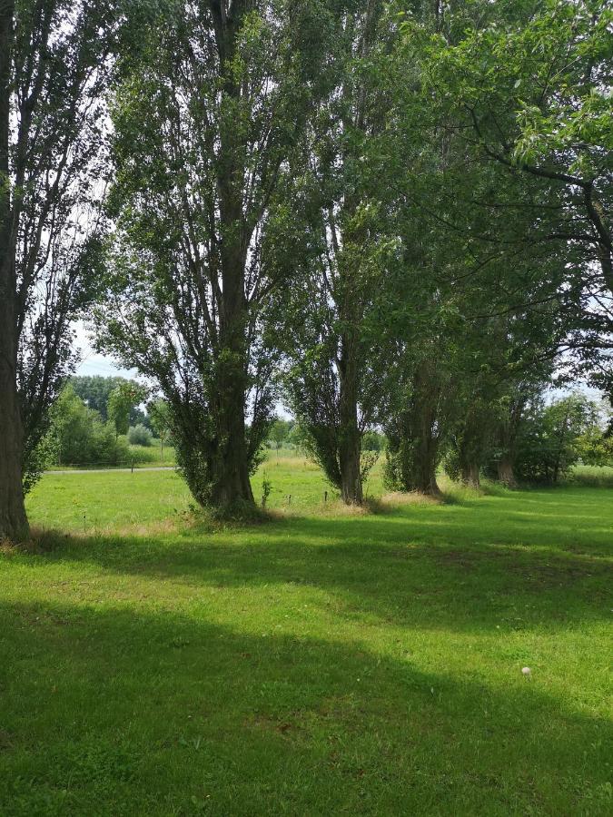 Vakantieboerderij Misset Lejlighed Goor Eksteriør billede