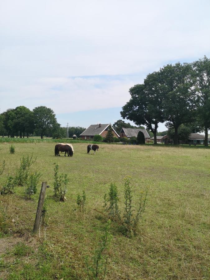 Vakantieboerderij Misset Lejlighed Goor Eksteriør billede